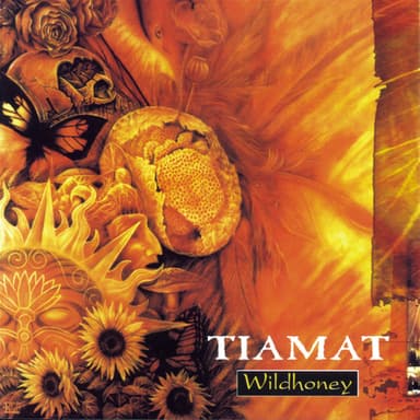 Wildhoney cover