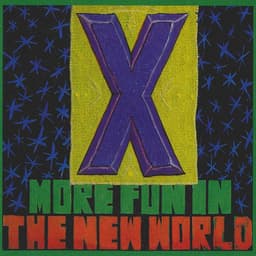 More Fun in the New World cover