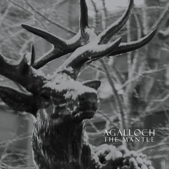 The Mantle cover