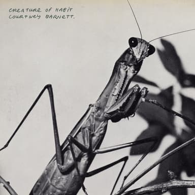 Creature of Habit cover