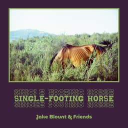 Single-Footing Horse cover