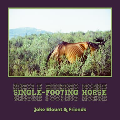 Single-Footing Horse cover
