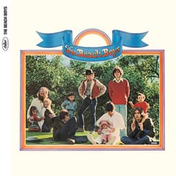 Sunflower cover