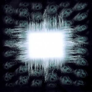 Ænima cover