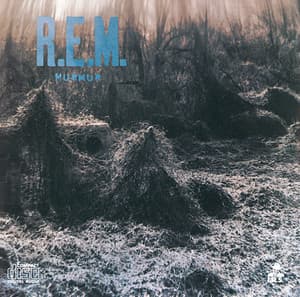 Murmur cover