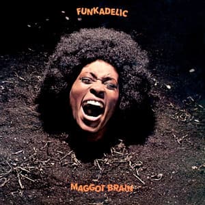 Maggot Brain cover