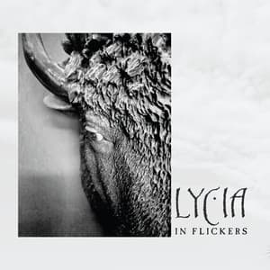 In Flickers cover